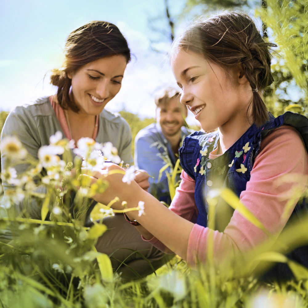 Dies ist ein alternativ Text